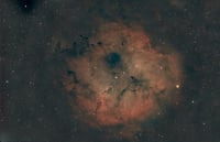 Beautiful photo by Wallace Henry