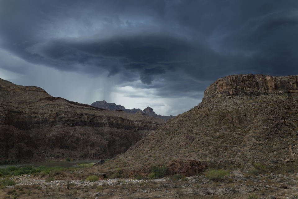 Beautiful photo by Steve Gribble