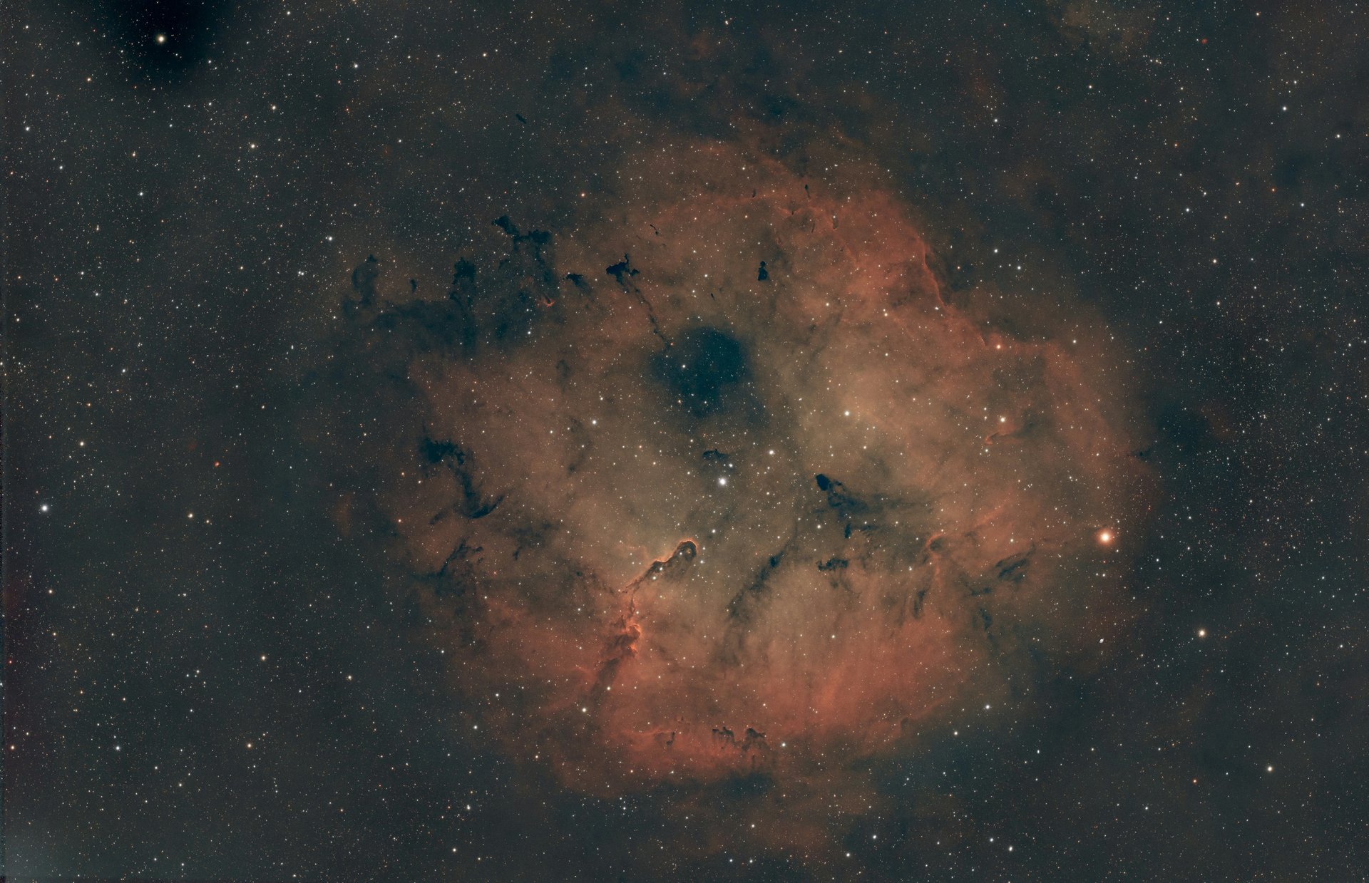 Beautiful photo by Wallace Henry