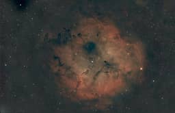 Beautiful photo by Wallace Henry